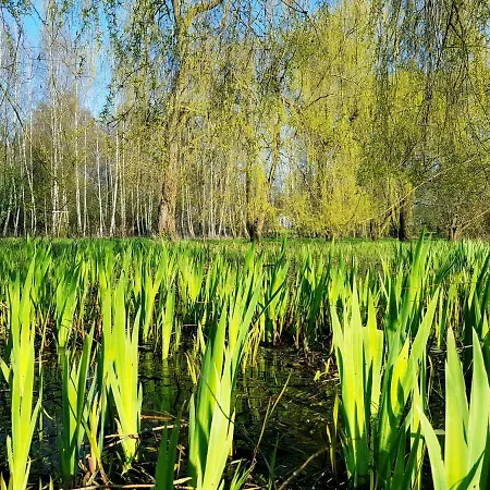 Reglowka Stylowy Dom Pachnacy Ogrod Wola Krakowiańska