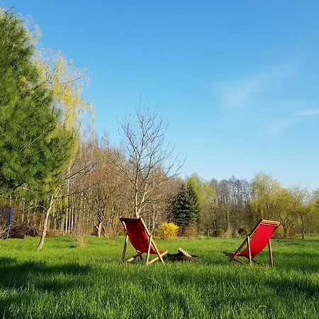 Reglówka