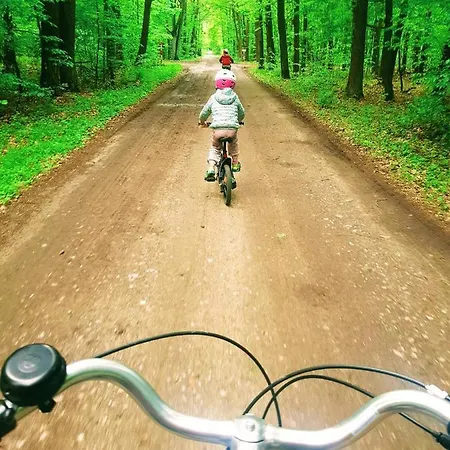 Reglowka Stylowy Dom Z Kominkiem * Wola Krakowianska