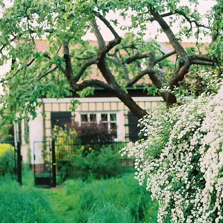 Villa Reglowka Stylowy Dom Pachnacy Ogrod