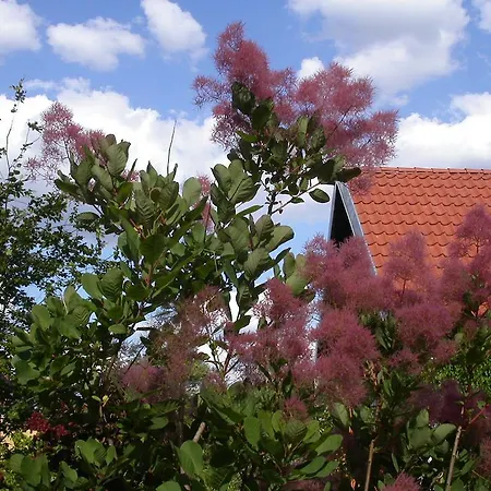 Villa Reglowka Stylowy Dom Z Kominkiem Wola Krakowianska