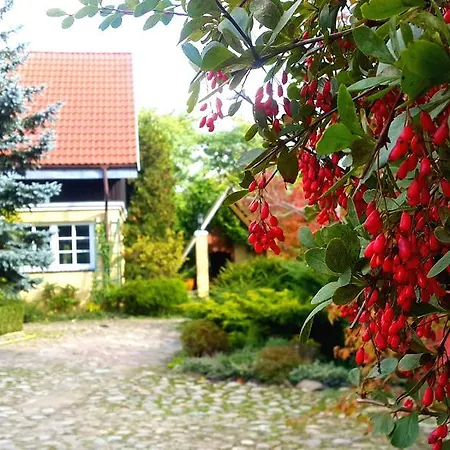 Reglowka Stylowy Dom Z Kominkiem Villa