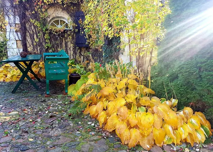 Willa Reglowka Stylowy Dom Pachnacy Ogrod Вилла