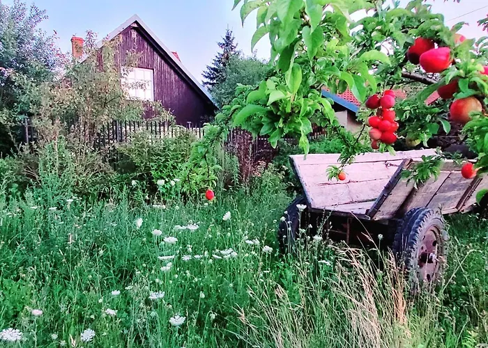 Вилла Willa Reglowka Stylowy Dom Pachnacy Ogrod