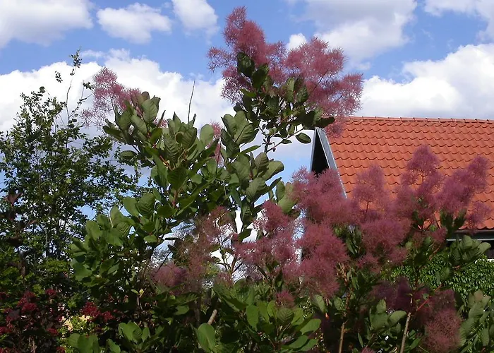 Вилла Willa Reglowka Stylowy Dom Pachnacy Ogrod Wola Krakowianska