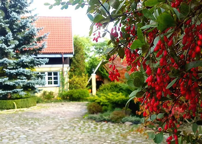 Willa Reglowka Stylowy Dom Pachnacy Ogrod Вилла