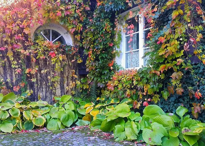 Вилла Willa Reglowka Stylowy Dom Pachnacy Ogrod