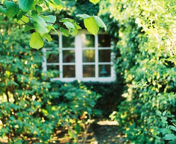 Reglowka Stylowy Dom Pachnacy Ogrod Villa Wola Krakowianska