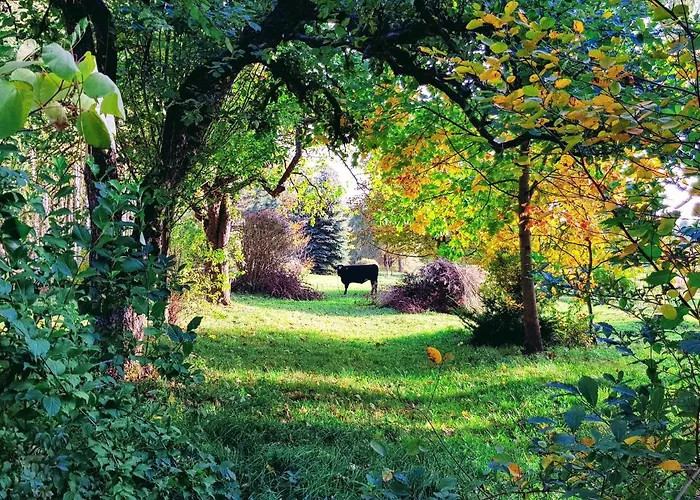 Willa Reglowka Stylowy Dom Pachnacy Ogrod * Wola Krakowianska